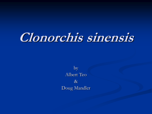 Clonorchis sinensis - Winona State University