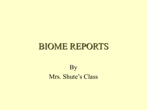 Biome file