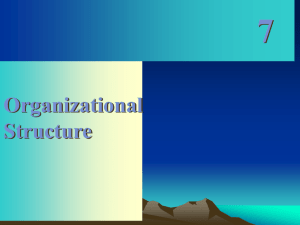 Organizational Structure[