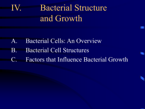 Bacterial Structure and Growth