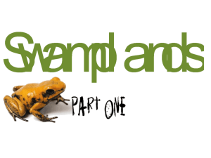 SWAMPS Part One Overview - Tennessee Opportunity Programs