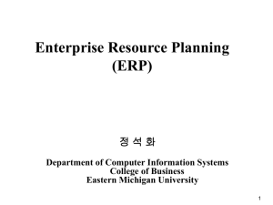 An Introduction to Enterprise Systems