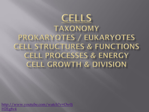 Cells Cell Structure & Function Cells & Energy Cell Growth & Division