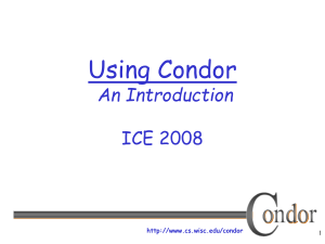 Using Condor - Initiative for Computational Economics