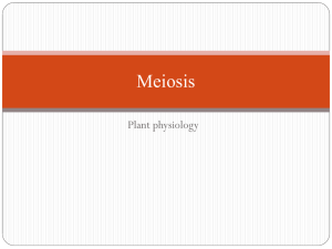 Meiosis - oedkumarkharka