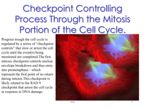 Checkpoint Controlling Process Through the Mitosis Portion of the
