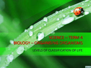 02 – Levels of Classification of Life