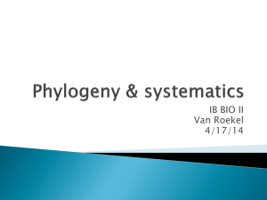 Phylogeny & systematics