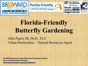Florida-Friendly Butterfly Gardening