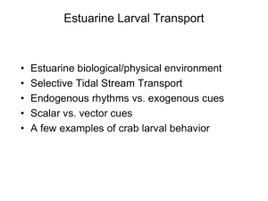 Estuarine Larval Transport