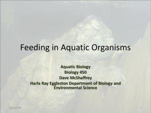 Feeding in Aquatic Organisms