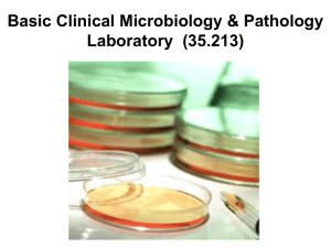 Microbiology (BIO