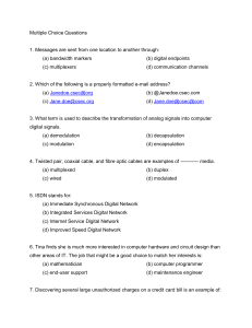 Multiple Choice Questions Practice 2010 - IT