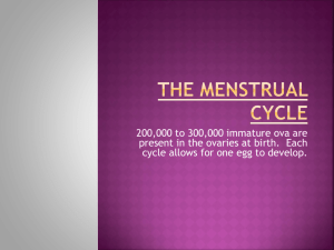 The Menstrual Cycle - Haiku for Ignatius