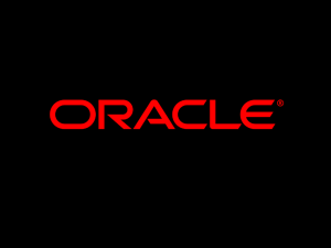 Oracle Database 10g SQL Model Clause