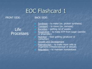 EOC Flashcards