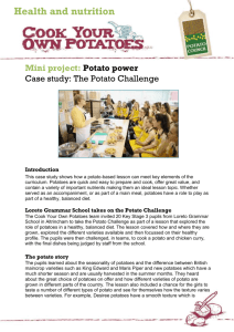 Potato Challenge case study