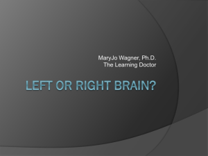 Left Brain or Right Brain?