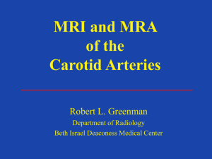 06/25/07 RGreenman - Carotid MRI and MRA