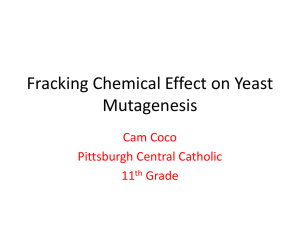 Cam Coco CCHS Fracking Chemical Influence on Yeast