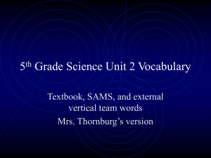 5th Grade Unit 2 Vocabulary