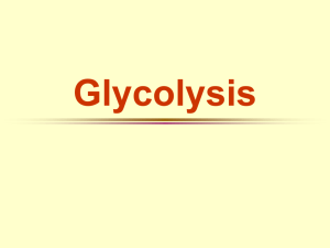 glycolysis - OSU Biochemistry and Molecular Biology