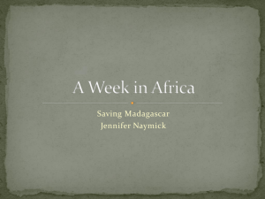 A Week in Africa - JenniferCI350Portfolio