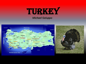 Turkey - RMcFadden