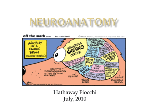 Hathaway - Neuro 1 - V14-Study