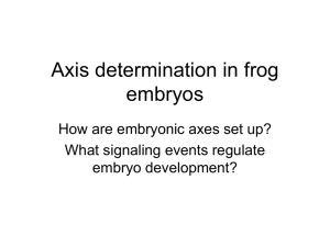 March 20 - Axis determination in frog embryos
