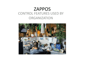 zappos - Companyproject