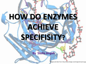 how do enzymes achieve specifisity?
