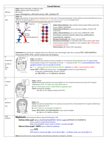 Cranial nerves fact sheet