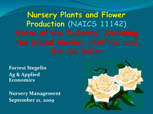 Nursery Plants and Flower Production (NAICS 11142)