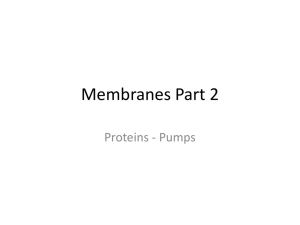 Membranes Part 2