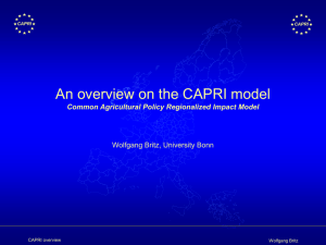 Kein Folientitel - CAPRI Modelling System