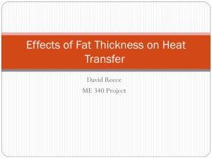 Effects of Fat Thickness on Heat Transfer