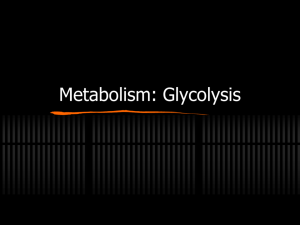 3. Metabolism – Glycolysis