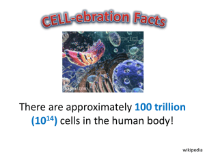 CELL-ebration Facts