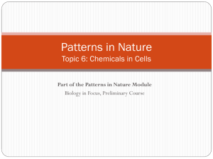 Nucleic Acids - Haiku Learning