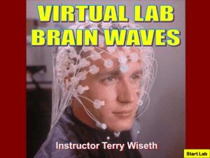 brain wave lab - biologyonline.us