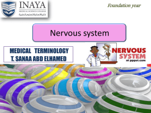 Nervous system - INAYA Medical College