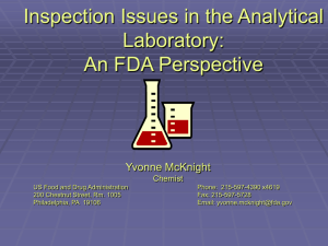 Inspection Issues in the Analytical Laboratory: An