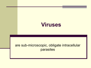 Viruses