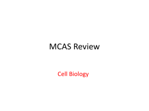 MCAS Review Cell Biology 2011