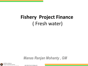 Webinar on *Fishery Project Finance (fresh water)* on December 10
