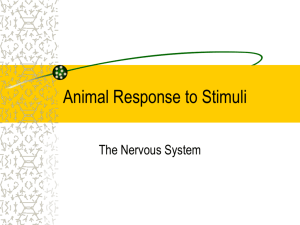 Animal Response to Stimuli
