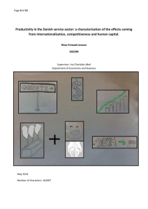 Productivity in the Danish service sector: a characterization
