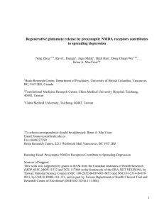 Regenerative glutamate release by presynaptic NMDA receptors