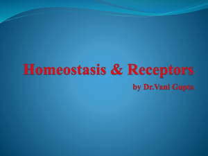 Homeostasis and Receptors